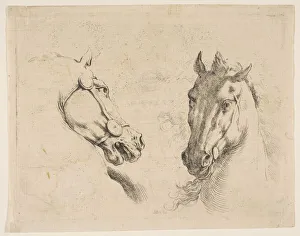 Bridle Prints: Two Horse Heads, ca. 1649. Creator: Stefano della Bella