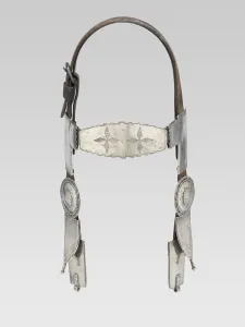 Dine Gallery: Horse Headstall, 1870s. Creator: Unknown