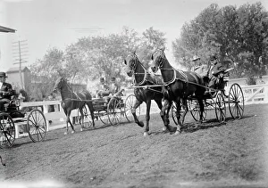 Miles Nelson A Prints: Horse Show - Miles, Nelson Appleton