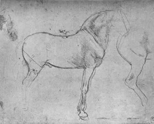 Hind Leg Gallery: A Horse in Profile to the Right and its Hind-Quarters, c1480 (1945). Artist: Leonardo da Vinci