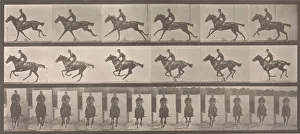 Sportsmen Prints: [Horse and Rider Galloping], 1883-86, printed 1887. Creator: Eadweard J Muybridge