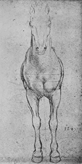 Sketchbook Prints: A Horse Seen from the Front, c1480 (1945). Artist: Leonardo da Vinci