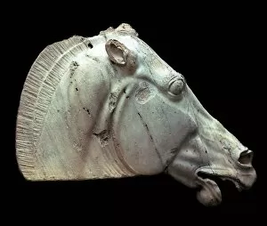 Ancient Greece Collection: Horse of Selene from the Parthenon