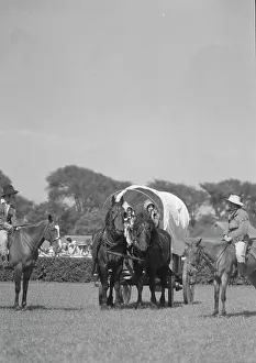 Horse show or show jumping event, between 1911 and 1942. Creator: Arnold Genthe