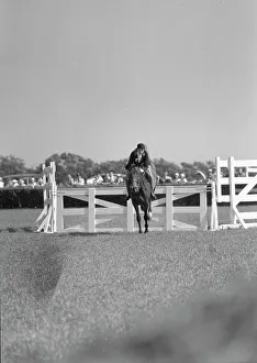 Show Jumping Prints: Horse show or show jumping event, between 1911 and 1942. Creator: Arnold Genthe