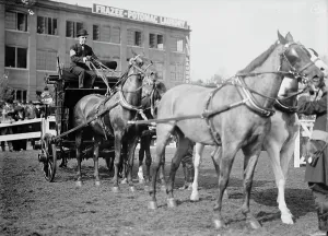 Equestrian Equipment Prints: Horse Shows - Adolphus Busch, 3rd of St