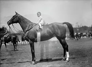 Mclean Prints: Horse Shows - Baby Vincent Mclean On Indian Flower