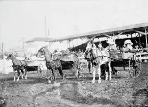 Contestant Prints: Horse Shows - Children And Ponies, 1912