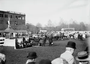 Show Ground Prints: Horse Shows - General Views, 1911