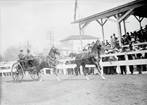 Horse Shows - John Roll Mclean Entries, 1911. Creator: Harris & Ewing. Horse Shows - John Roll Mclean Entries, 1911. Creator: Harris & Ewing