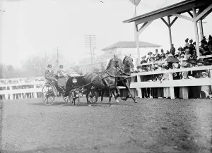 Horse Show Prints: Horse Shows - Mclean Entries, 1911