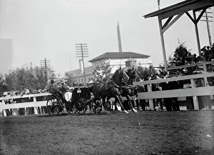 Race Track Prints: Horse Shows - Team, 1912. Creator: Harris & Ewing