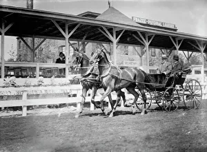 Miles Nelson A Prints: Horse Shows - Team Driven By General Nelson A