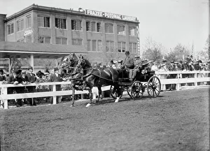 Horse Shows - Teams, 1911. Creator: Harris & Ewing. Horse Shows - Teams, 1911. Creator: Harris & Ewing