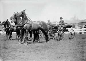 Horse Show Prints: Horse Shows - Teams, 1911. Creator: Harris & Ewing