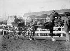 Contestant Prints: Horse Shows - Unidentified Men