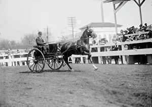 Horse Shows - Unidentified Men, Driving, 1911. Creator: Harris & Ewing. Horse Shows - Unidentified Men, Driving, 1911. Creator: Harris & Ewing