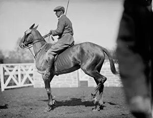 Polo Pony Prints: Horse Shows - Unidentified Men, Mtd