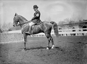 Horse Shows - Unidentified Men, Mtd. Or Hurdling, 1911. Creator: Harris & Ewing. Horse Shows - Unidentified Men, Mtd. Or Hurdling, 1911. Creator: Harris & Ewing