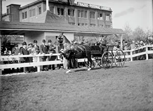 Lawmaker Prints: Horse Shows...Gen. Allen And Secretary Dickinson Standing Back of Fence