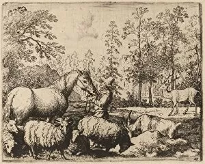 Allart Van Everdingen Gallery: The Horse and the Stag, probably c. 1645 / 1656. Creator: Allart van Everdingen