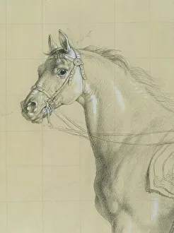 Portion Prints: Horse study for Archduke Karl with his staff in the Battle of Aspern