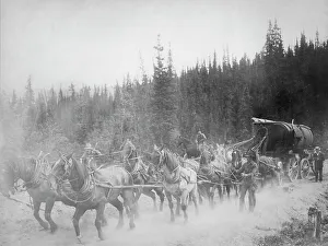 Trail Prints: Horse team on the Overland Trail, between c1900 and 1927. Creator: Unknown