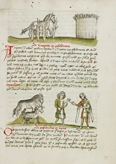 Fables Prints: A Horse in a Thorn Bramble near a Wheat Field: A Horse