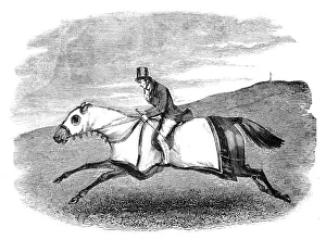 Sweating Prints: Horse-training, 1844. Creator: Unknown