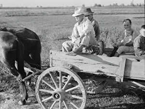 Missouri United States Of America Prints: Horse and wagon is still a common means of transportation
