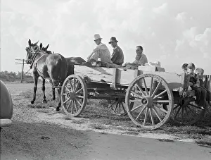 Missouri United States Of America Prints: Horse and wagon is still a common means of transportation