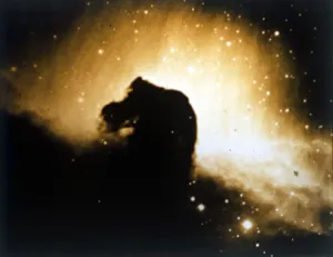 Constellation Gallery: Horsehead Nebula in Orion. Creator: NASA