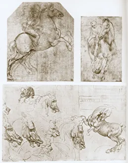 Horseman, 1480-1481. Artist: Leonardo da Vinci Horseman, 1480-1481. Artist: Leonardo da Vinci