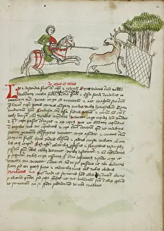 Fables Prints: A Horseman Following a Stag Which has Been Captured in a Net; Fables