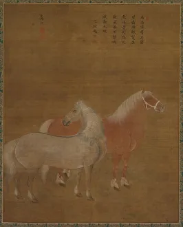 Attributed To Gallery: Two Horses, 1644-1911. Creator: Yu Yuan (Chinese, active 1700s), attributed to