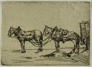 Two Horses, 1906. Creator: Donald Shaw MacLaughlan