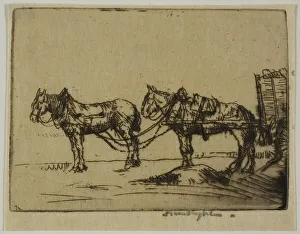 Two Horses, 1906. Creator: Donald Shaw MacLaughlan