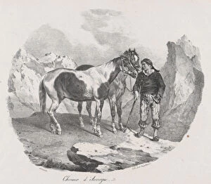 Auvergne Collection: Horses of Auvergne, 1822. Creator: Theodore Gericault