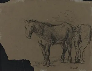 Camps Alexander G De Prints: Horses. Creator: Alexandre Gabriel Decamps