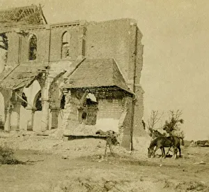 Editions Stl Prints: Horses grazing near ruined church, Frise, northern France, c1914-c1918