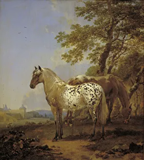 Nicolaes Berghem Prints: Two Horses in a Landscape, 1635-1683. Creator: Nicolaes Berchem
