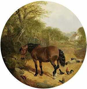 Pigs Prints: Horses, Pigs and Poultry, 1852. Creator: John Frederick Herring I