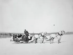 Nome Alaska United States Prints: Horses pulling U.S. Mail sled, between c1900 and 1927. Creator: Unknown