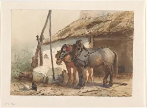 Chickens Prints: Two horses standing in front of a stable, 1851-1921. Creator: Wouter Verschuur