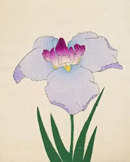 Lilac Collection: Hoshi-Zukiyo, No. 45, 1890, (colour woodblock print)