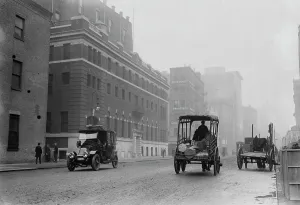 Manhattan Prints: Hospital of N.Y. Women's League for Animals, 1914. Creator: Bain News Service