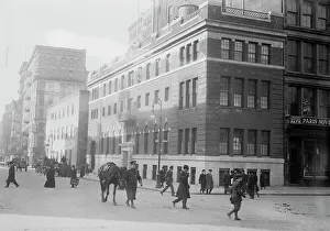 Hospital of N.Y. Women's League for Animals, 1914. Creator: Bain News Service