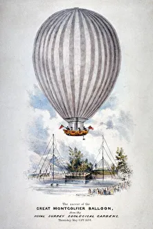 Harrison Prints: Hot air balloon ascending over Surrey Zoological Gardens, Southwark, London, 1838