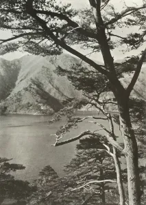 In Lotus Land Japan Prints: The Hotel Across The Lake, Shoji, 1910. Creator: Herbert Ponting