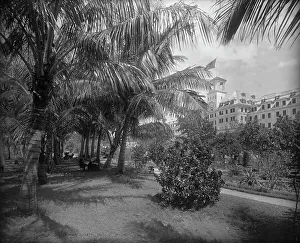 Transparency Prints: Hotel [Royal] Poinciana, Lake Worth, c1894. Creator: William H. Jackson